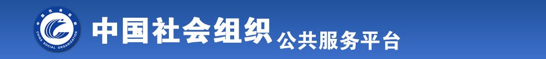 插嫩逼视频全国社会组织信息查询